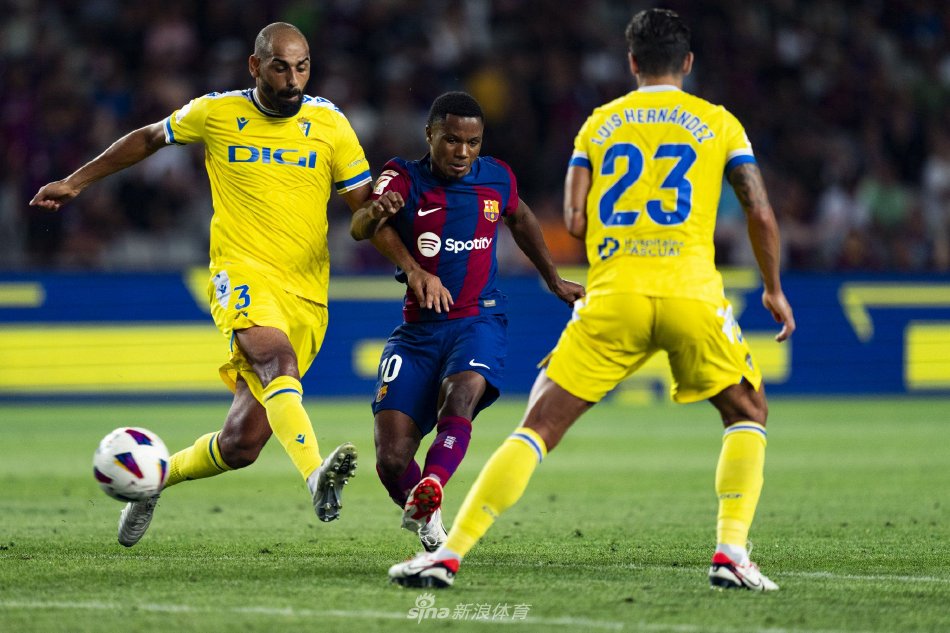 的贡献得以 的贡献得以